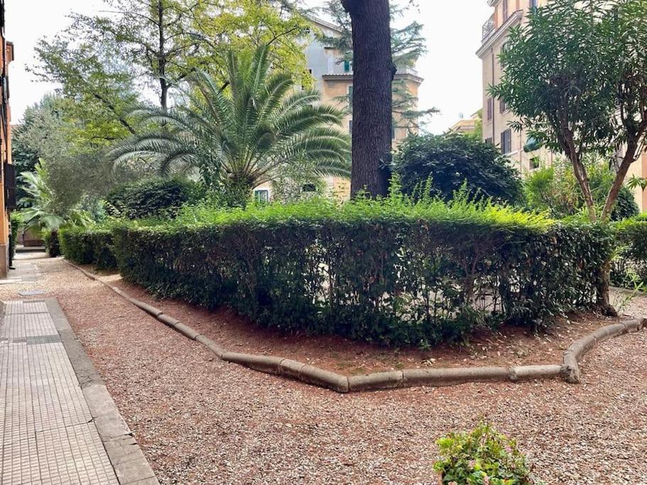 New - Comfortable Apt Porta Latina Rzym Zewnętrze zdjęcie